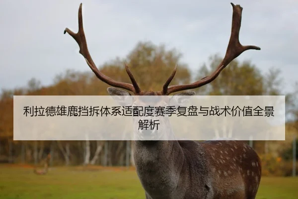 利拉德雄鹿挡拆体系适配度赛季复盘与战术价值全景解析